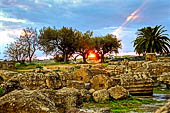 Agrigento - La valle dei templi. Le rovine del tempio di Giove Olimpico. 